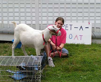 Pet-a-Goat
