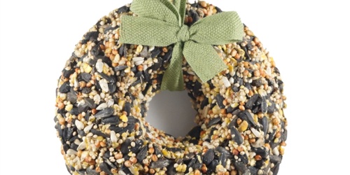 Birdseed Wreath Making Program